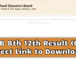 PSEB 8th and 12th Result 2024.