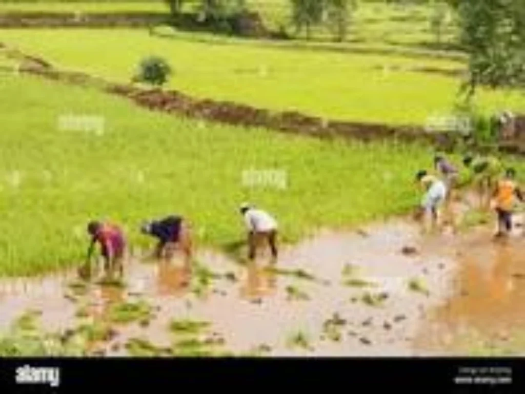 Agricultural of Maharashtra