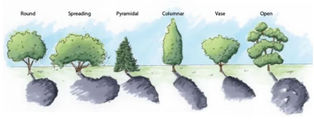 CBSE Class 7 Science Notes Chapter 17