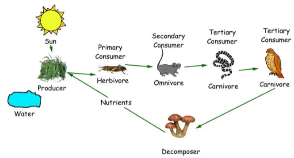 CBSE Class 7 Science Notes Chapter 17