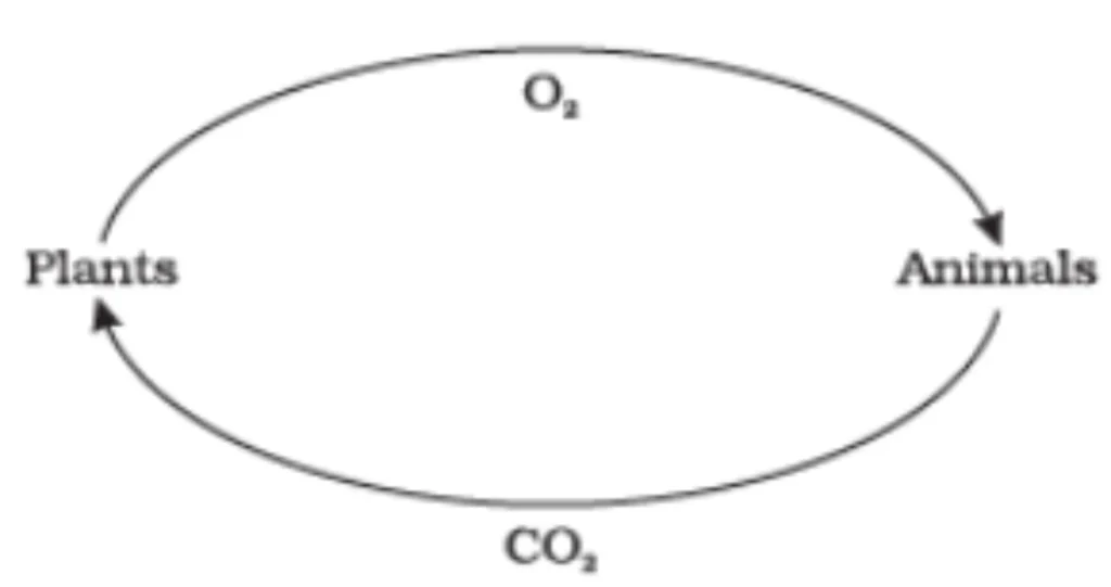 CBSE Class 7 Science Notes Chapter 17